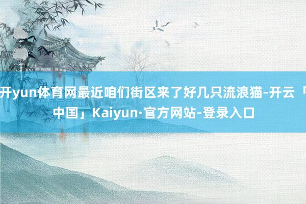 开yun体育网最近咱们街区来了好几只流浪猫-开云「中国」Kaiyun·官方网站-登录入口